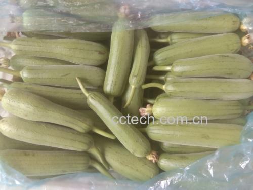 丝瓜炒肉片香气浓郁,是家庭餐桌上的常见佳肴 丝瓜炒肉片成品图