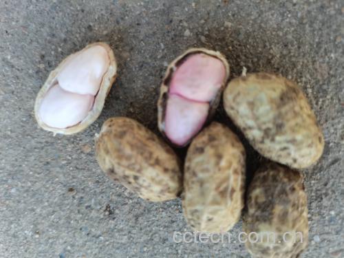图中展示高尿酸人群适宜与不适宜食用的食物对比 尿酸高人群饮食示意图
