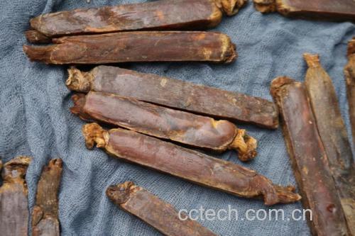 凉拌人参成品图,展现清爽色泽与食材搭配细节 人参凉拌成品图