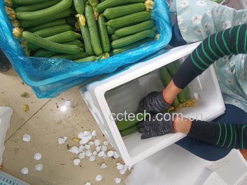 展示如何使用削皮刀去除丝瓜表皮的过程 丝瓜去皮过程示意图