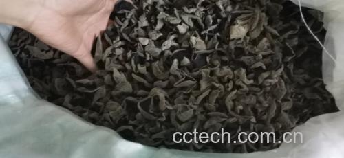 专业营养配餐示意图:左侧为风险组合(黑木耳+五花肉片+油炸花生米,盛于深色砂锅);右侧为推荐组合(泡发黑木耳+嫩豆腐块+鸡蛋液+枸杞,置于浅口白瓷汤碗中)。背景为标准化营养标签卡,标注蛋白质与脂肪含量对比数据 黑木耳科学配餐对比图