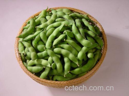 一碗煮熟的毛豆,旁边摆放着健身器材,象征其作为植物蛋白来源的营养价值 毛豆作为蛋白质来源