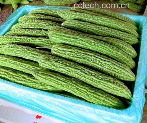 厨师正在用大火翻炒苦瓜以确保食物加热彻底 苦瓜在锅中翻炒的画面
