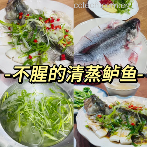 专业美食摄影:展现正确使用小葱的清蒸鲈鱼成品效果——鲈鱼皮完整无破,小葱段经8分钟蒸制仍保持青翠挺括,无黄化软烂,蒸鱼汁澄澈透亮呈浅琥珀色,印证低脂质氧化与高效去腥 清蒸鲈鱼成品特写:银白鲈鱼卧于青瓷盘中,鱼身覆盖半透明姜丝与翠绿小葱段,葱段保持鲜亮青色未萎蔫,盘底有清亮琥珀色蒸鱼汁