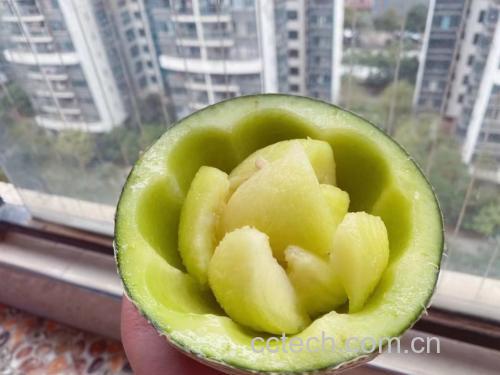 哈密瓜与苹果榨汁示意图:新鲜水果切块放入搅拌机中 哈密瓜与苹果榨汁示意图