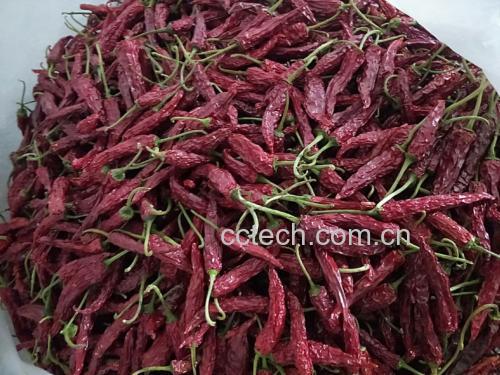 干辣椒炒豆角在锅中翻炒过程特写