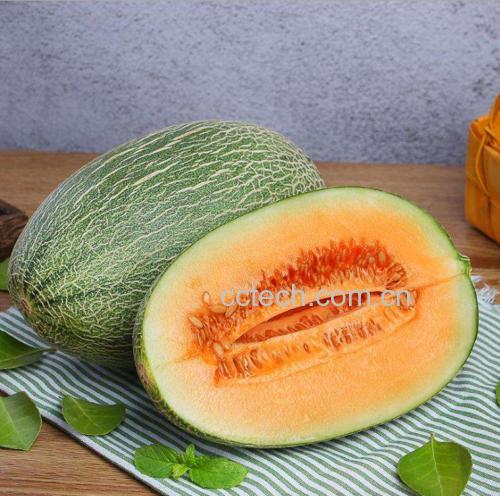 哈密瓜切开展示鲜嫩果肉