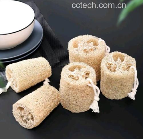 展示丝瓜清洗步骤,包括水洗和刷子清洁的过程 丝瓜清洗过程