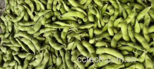 图片说明:新鲜的菠菜与绿色毛豆并列摆放,展示两者作为常见蔬菜的外观特征 菠菜与毛豆食材对比图