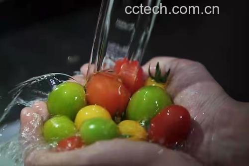 展示芝麻菜在水槽中被清水冲洗的过程 芝麻菜初步清洗过程