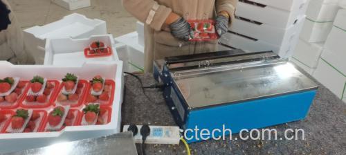 展示冻干草莓在真空干燥设备中的生产流程,体现高科技加工工艺 草莓冻干生产线