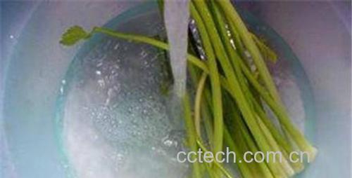 展示芹菜的清洗与去叶、去根处理过程 芹菜清洗与处理过程