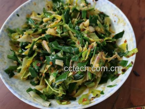 俯拍美食组图:三格木质餐盘呈现蒜苗三大吃法,强调色彩对比(肉丝棕绿、豆腐干褐绿、汤品清绿),所有蒜苗均呈现饱满挺括、叶脉清晰、无萎蔫无褐斑状态 蒜苗三种经典做法摆盘图:左上清炒蒜苗肉丝油亮翠绿、右上凉拌蒜苗豆腐干芝麻酱裹匀、右下蒜苗蛋花汤清澈见翠叶浮沉