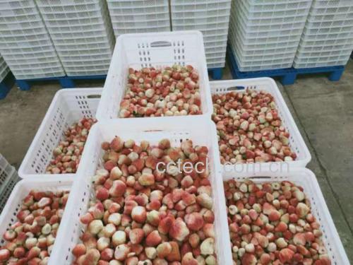 展示不同品牌或类型的草莓干产品及其标价,便于价格对比 草莓干价格对比图