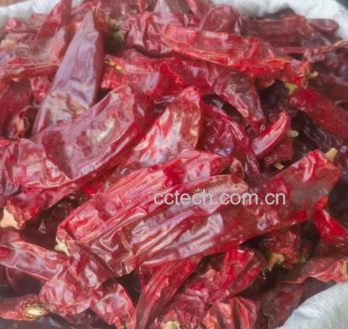 刚完成‘三洗一晾’处理的新鲜二荆条辣椒特写:椒体饱满红亮,表皮干燥反光,竹匾底部可见细微水汽蒸发痕迹,体现严格控水工艺 新鲜红艳的二荆条辣椒整齐铺在竹匾上,表面无水珠,椒身挺括油亮,背景为农家木窗与青砖墙