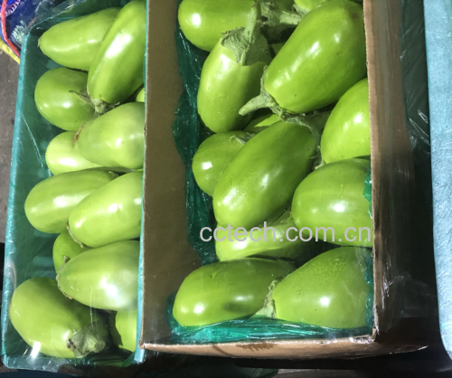 厨师正在锅中翻炒茄子与青椒,并淋入酱汁 红烧茄子翻炒过程图