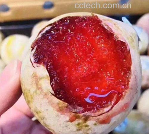 李子与桃子营养成分对比图表,展示GI值、糖分含量及膳食纤维含量 水果营养成分对比图