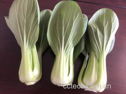 菠菜与黄花菜摆放在餐桌上的场景图