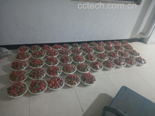 成品红烧茄子