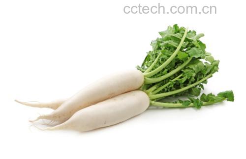 新鲜胡萝卜与绿色西兰花摆放在白色背景上 胡萝卜与西兰花拼盘