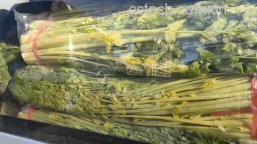 芹菜与包菜清炒成品图