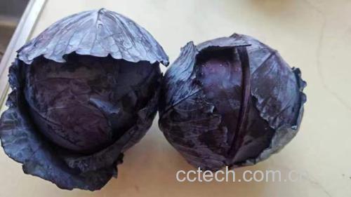 装盘后的紫甘蓝炒鸡蛋色泽诱人 紫甘蓝炒鸡蛋成品图