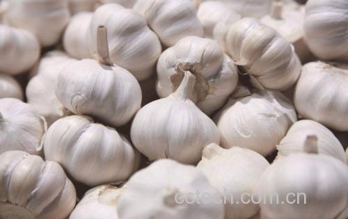 展示新鲜大蒜剥皮后放入锅中煮沸的过程 大蒜煮水过程图