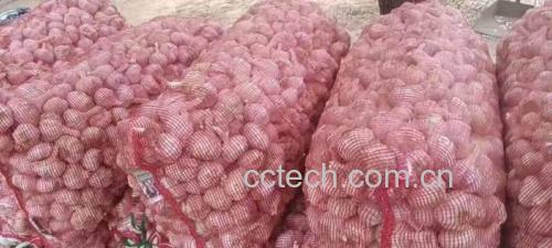 展示紫皮大蒜与白皮大蒜的外观、质地对比 不同种类大蒜对比图