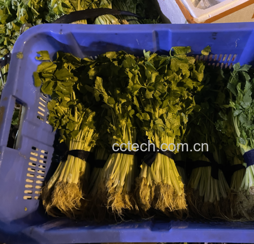展示一瓶自制或市售的欧芹大蒜盐,瓶身清晰可见绿色香草颗粒与蒜末混合物 欧芹大蒜盐实物图