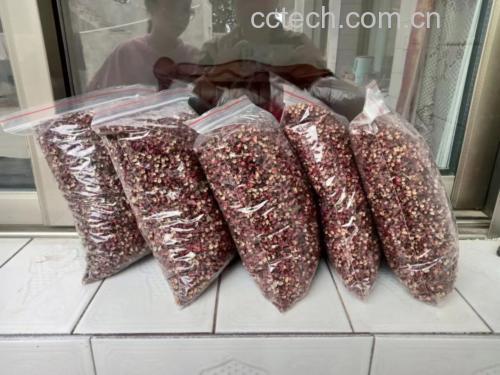 一位厨师正在切碎螺丝椒准备炒菜,背景可见灶台与锅具 厨房中使用螺丝椒烹饪的画面