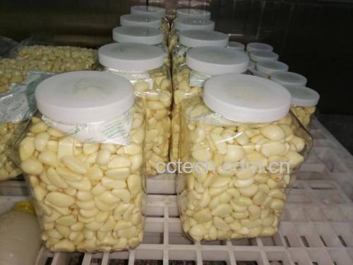 玻璃罐中盛满晶莹剔透的腌制蒜米,液体清澈,蒜米饱满 腌制蒜米成品图