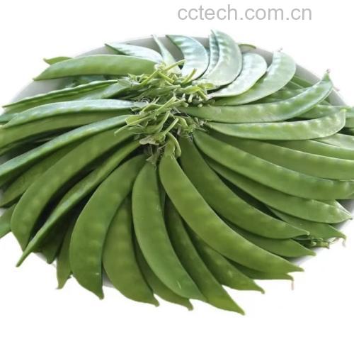 一盘清炒荷兰豆与芹菜摆放在餐桌中央,旁边有米饭和小碗调料,背景温馨自然 荷兰豆芹菜清炒成品图