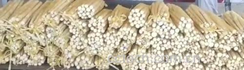 新鲜胡萝卜与山药并排摆放,展示两种食材的外观特征 胡萝卜与山药实物图