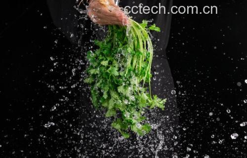 一位家庭主妇在厨房操作台上清洗香菜,旁边放有砧板、刀具和玻璃碗,水滴从香菜叶尖滑落,背景整洁明亮,体现健康饮食环境 家庭厨房中处理香菜的场景