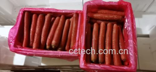 胡萝卜丝放入密封盒冷藏保存