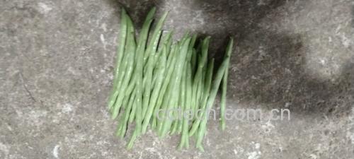 泡椒炒四季豆成品图,盛放在白色盘子中,色泽红亮,四季豆翠绿 泡椒炒四季豆成品图