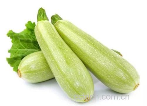 西葫芦与冬瓜、黄瓜并列放置,背景为厨房环境,突出其颜色和形态差异 西葫芦与其他蔬菜的对比图