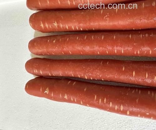 胡萝卜切片显微结构图,展示其细胞组织与色素分布 胡萝卜切片显微结构图