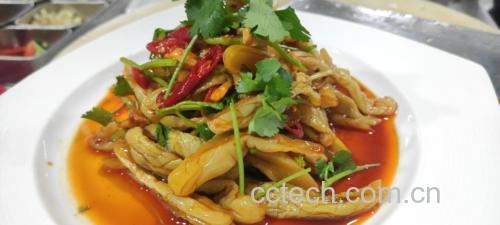 香菜拌黄瓜凉菜,绿色香菜与白色黄瓜丝搭配,清爽可口 香菜拌凉菜成品图