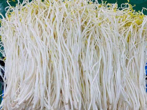 芹菜根红枣水成品图:清澈透亮,香气怡人 芹菜根红枣水成品图