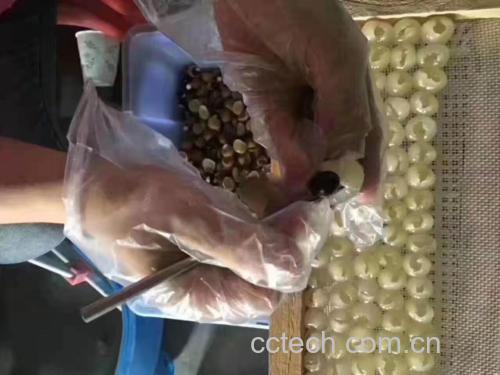 展示橙子清洗干净并切顶挖空的过程 橙子洗净切顶过程