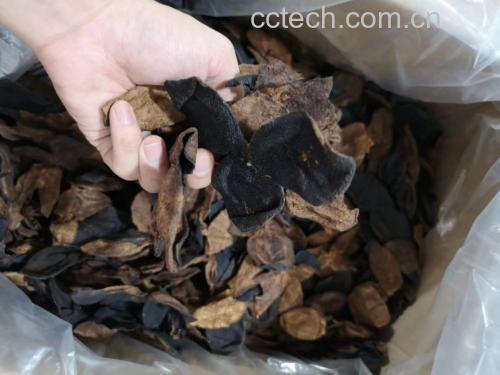 信息图表:左侧竖列标注10种替代品名称及核心活性成分;右侧分三栏展示典型应用场景——厨房(如砂仁入卤汁、紫苏拌海鲜)、养生茶饮(陈皮+桂圆、枸杞+姜黄)、膳食补充(菠萝果肉佐餐、山楂干泡水),每栏配对应食材实景小图 生姜替代品应用场景示意图