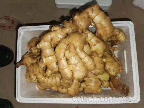 生姜食用方式示意图