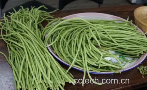 新鲜大白菜与嫩豆腐摆放在木质案板上,背景为厨房环境 白菜与豆腐食材组合