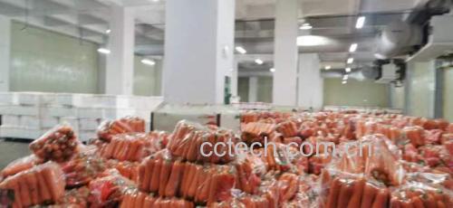 胡萝卜与健康饮食组合图