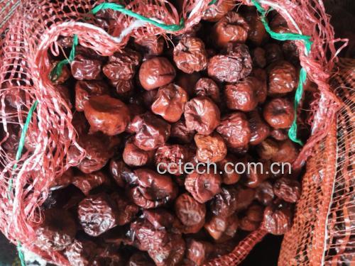 新鲜红枣特写,展示其饱满的果肉和红色表皮 红枣特写