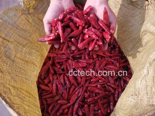 展示用布袋包裹花椒并敷在肚脐上的步骤示意图,清晰标注各步骤要点 花椒包敷肚脐示意图