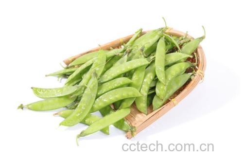 一筐新鲜采摘的绿色荷兰豆整齐摆放在竹编菜篮中,豆荚饱满透亮,背景为农贸市场清晨光线,体现食材的新鲜与自然感 荷兰豆在菜篮中的新鲜状态