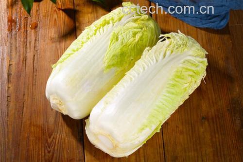 一位家庭主妇在厨房中将新鲜大白菜切丝准备凉拌,案板旁放有橄榄油、醋、蒜末等调味料,窗外阳光明媚,体现健康生活方式 图片描述