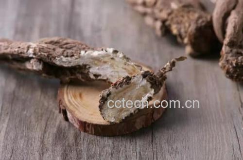 展示当归、党参与生姜三种食材的实物组合图,背景为厨房或药材架,突出自然与健康氛围 当归党参生姜组合食材图